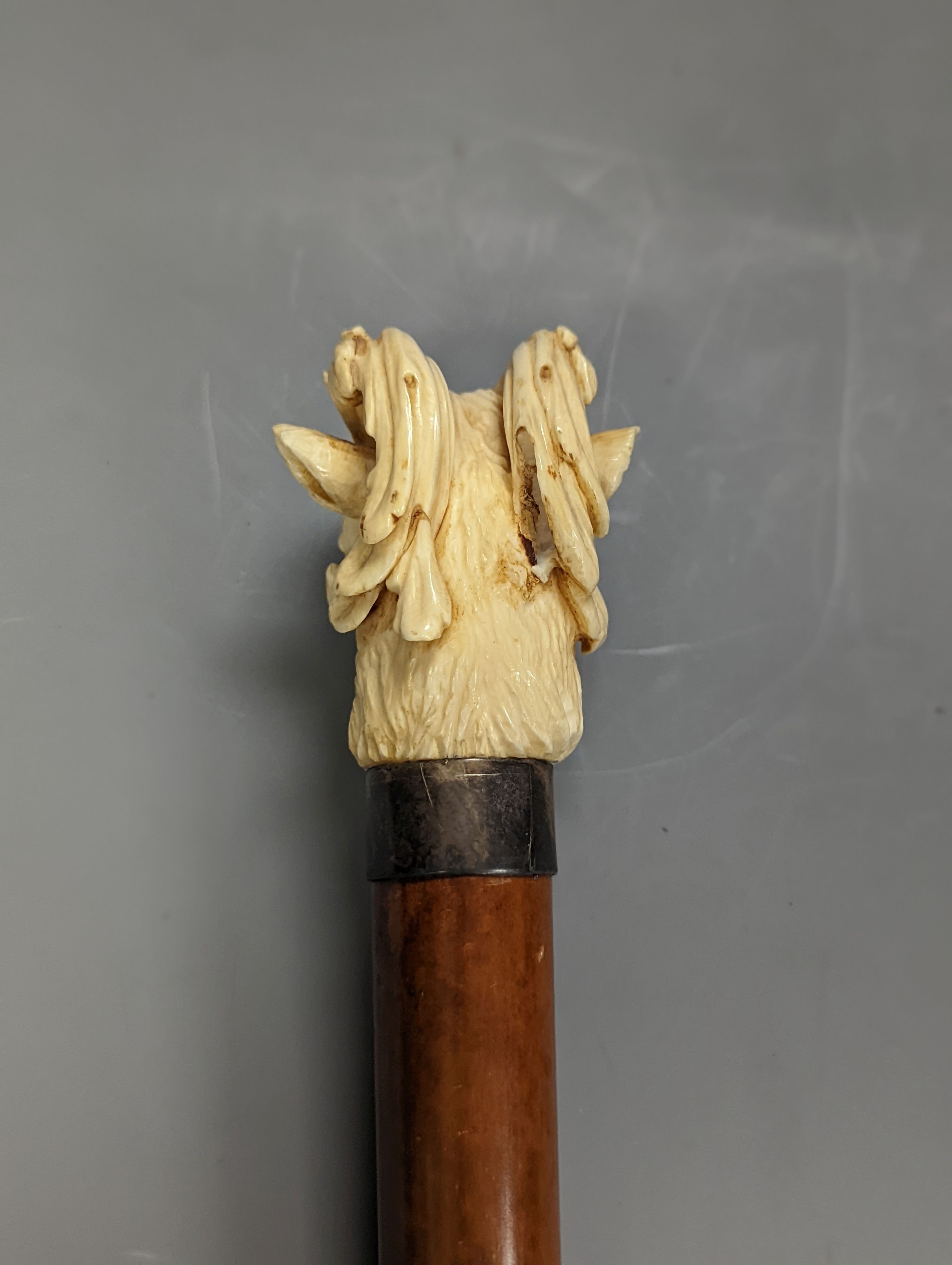 A late 19th century carved ivory ‘ram's head’ handled walking cane 89cm